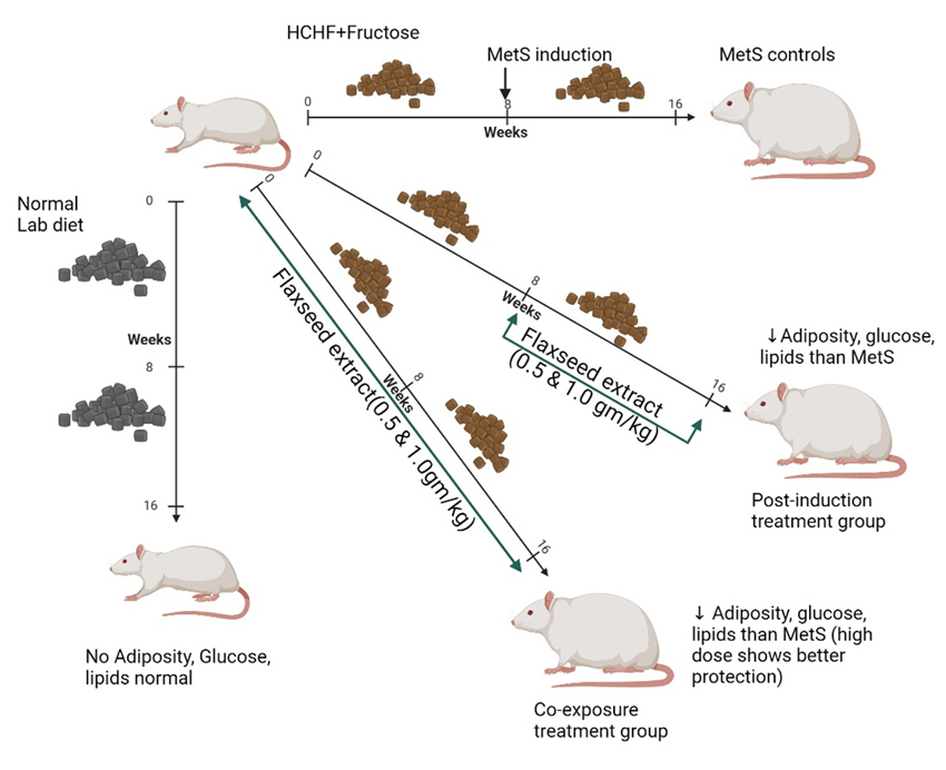 Graphical Abstract
